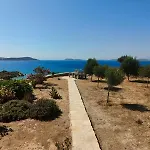 Kedros Lipsi