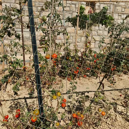 Kedros וילה Lipsoí