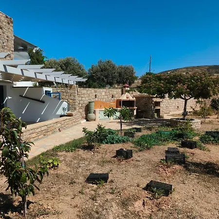 Kedros Λειψοί